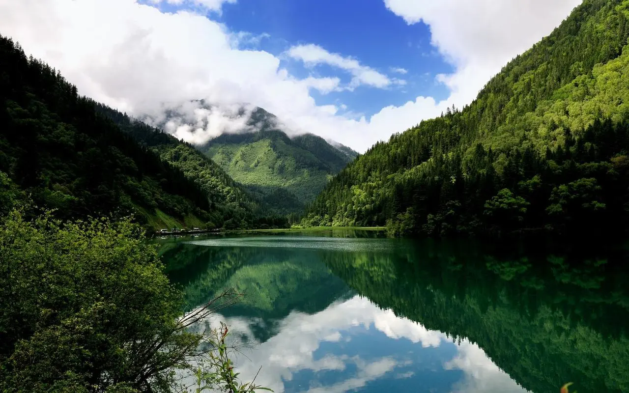 高精度高精度